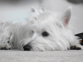 Bildquelle - © iStock