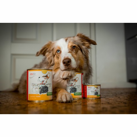 Hond Accessories Natvoer Schäfers Pfanne 400g 6 Stuk -3- Anifit