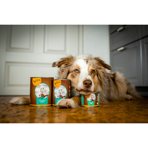 Hond Natvoer RyDog Vitaal Menu Lam 800g 6 Stuk -6- Anifit