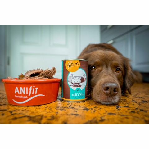 RyDog Vitalmenü Goat and Horse 400g: Dog food Shop Anifit