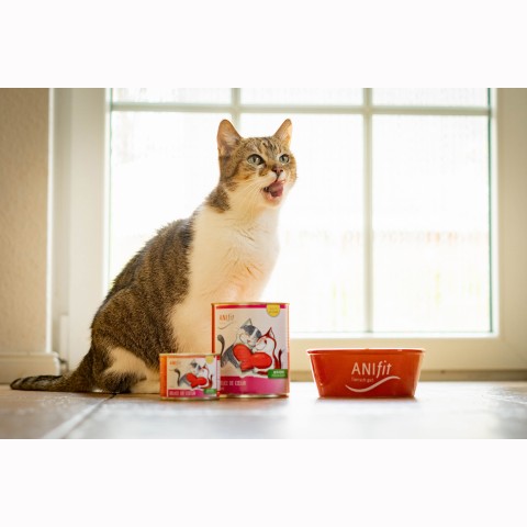 Kat Natvoer Délice de Coeur 400g 6 Stuk -3- Anifit