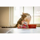 Kat Natvoer Délice de Coeur 810g 6 Stuk -3- Anifit